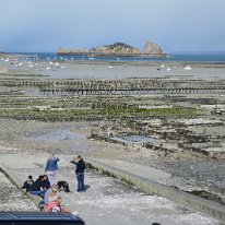 P1160699