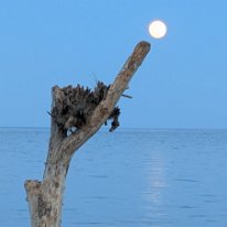 PXL_20260530_185738024